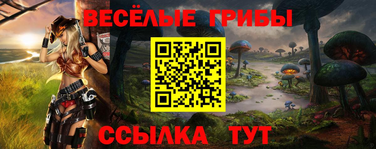 Галлюциногенные грибы Magic Shrooms  Вход с VPN  Печора  Псилоцибиновые грибы мицелий 